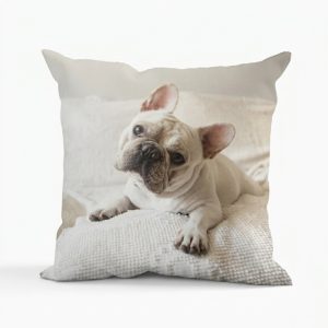 Cushions