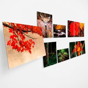 Sublimation Printing